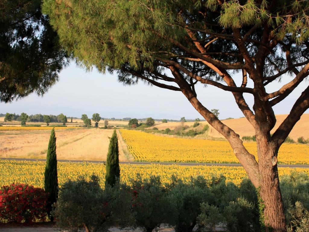 Agriturismo Peretti Fonteblanda Bagian luar foto